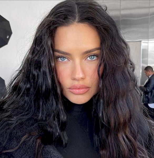 adriana lima горячие фото (239)