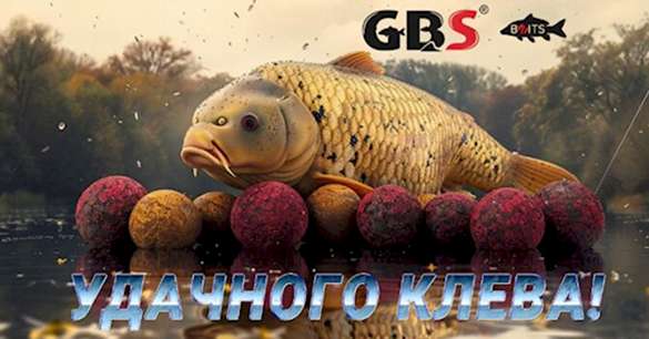прикормочные бойлы gbs baits (5)