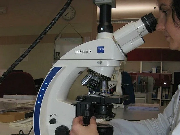 микроскоп zeiss primo star в работе