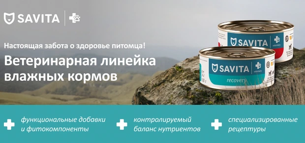 Влажные Корм Savita