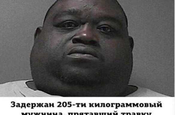 задержан толстяк - смешные мемы 84 (15)